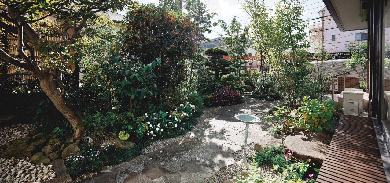 緑あふれる庭の写真